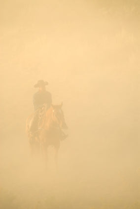 Cowboy on horse obscured by dust